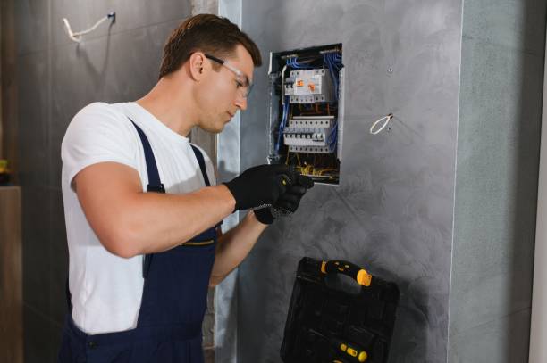 Best Electric Panel Repair  in Ortonville, MN