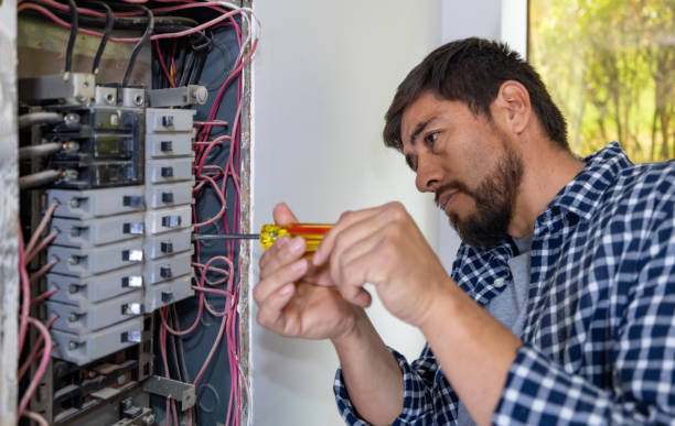 Best Affordable Electrical Installation  in Ortonville, MN